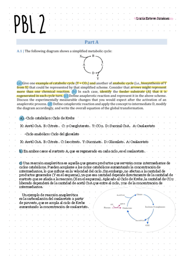 Miniatura del documento PBL2-completo.pdf
