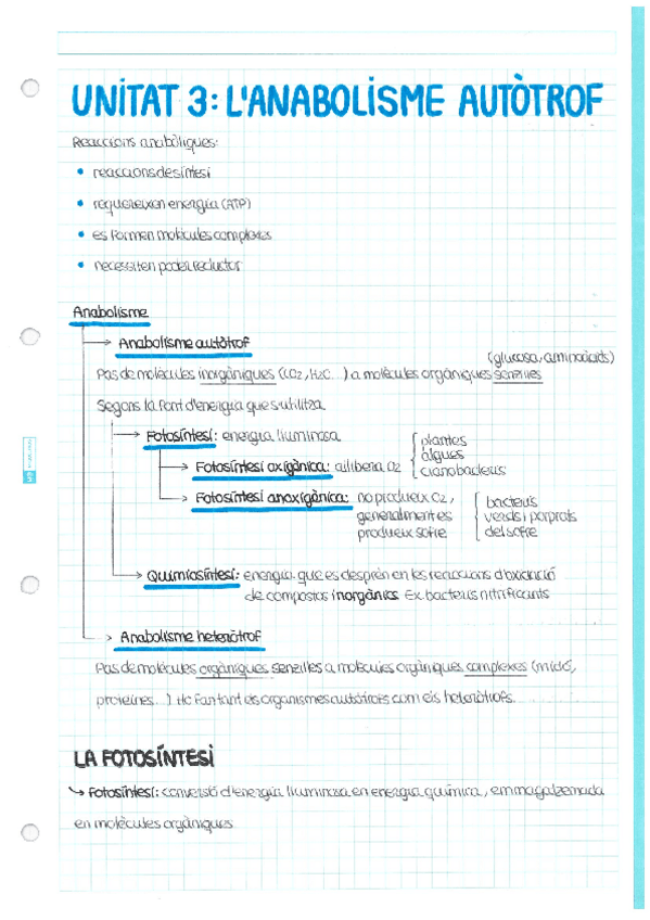 Miniatura del documento BIO.-UNITATS-3-4.PDF