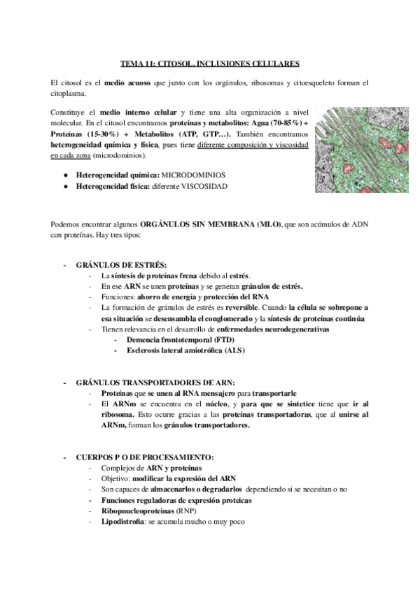 Miniatura del documento Biologia-celular-11.pdf