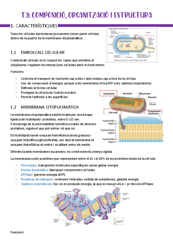 Miniatura del documento BLOC-II-Apunts-T3.pdf