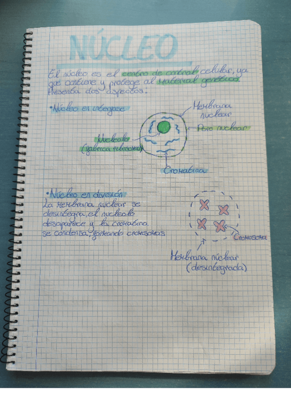 Miniatura del documento All-PDF-Reader-20251007-17.12.15.pdf