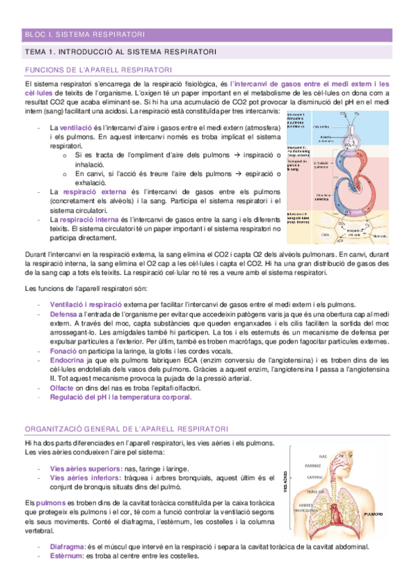 Miniatura del documento Apuntes-Bloc-I-FFPIII.pdf