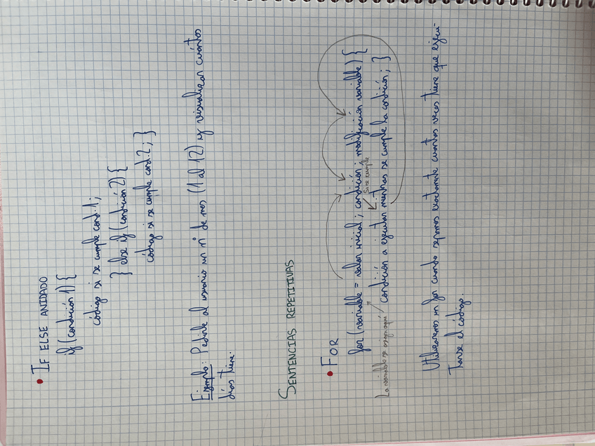 Miniatura del documento IMG5916.jpg