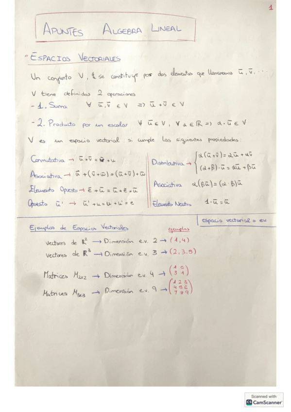 Miniatura del documento Algebra-Lineal.-Subespacios.pdf