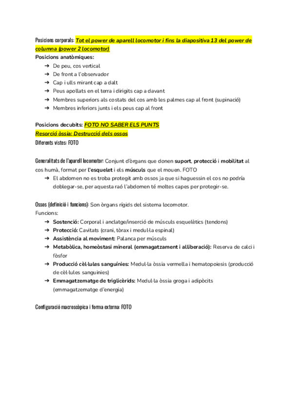 Miniatura del documento S.-Locomotor.pdf