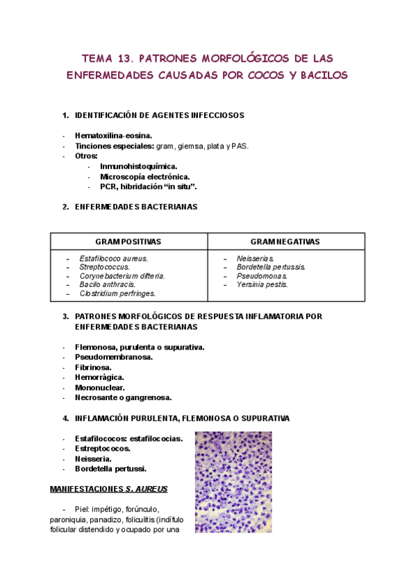 Miniatura del documento Tema-13.pdf