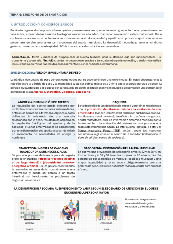 Miniatura del documento TEMA-6.-SINDROME-DE-DESNUTRICION.pdf