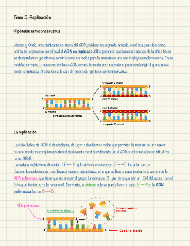 Miniatura del documento Tema-5.pdf