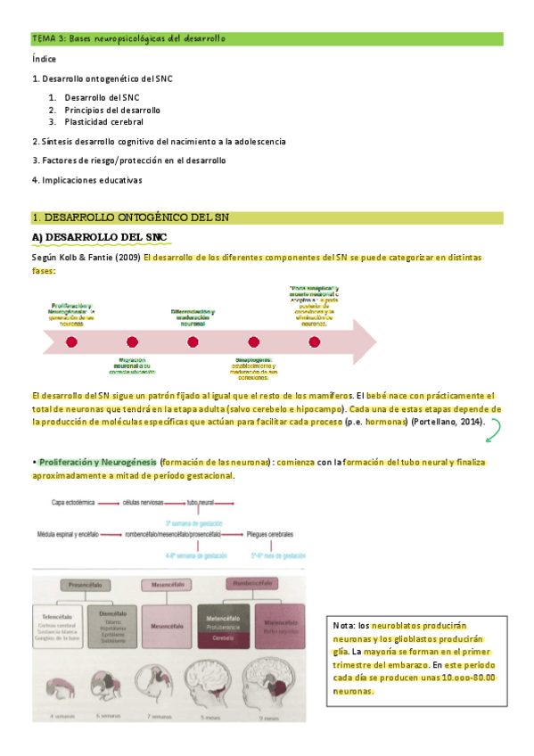 Miniatura del documento T3-NEC-ESP.pdf