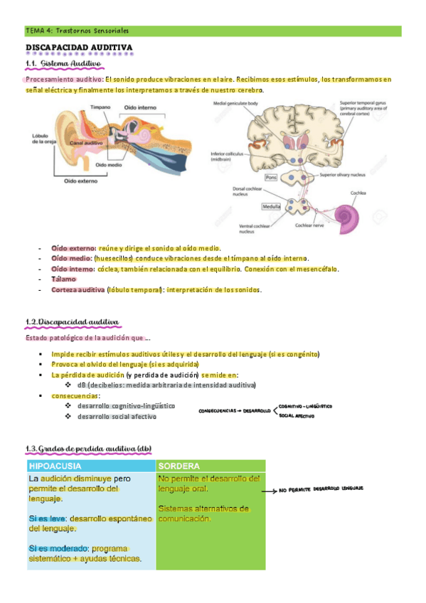 Miniatura del documento T4-NEC-ESP.pdf