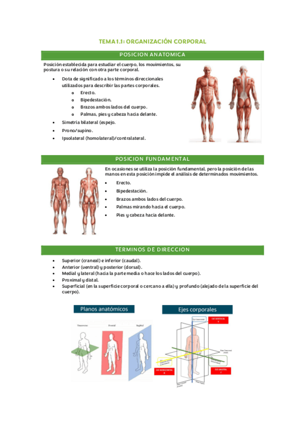 Miniatura del documento FUNDAMENTOS-BIOLOGICOS-TEMA-1.pdf