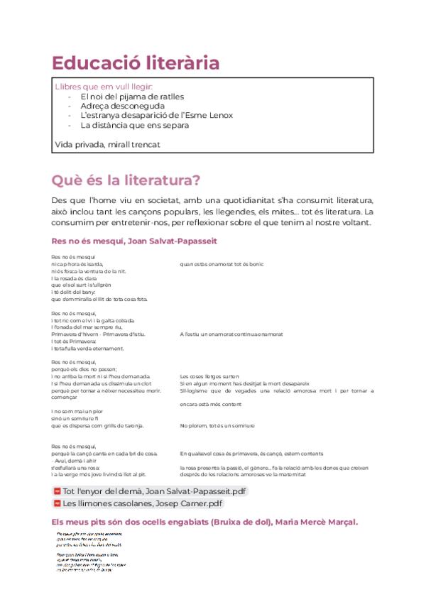 Miniatura del documento ApuntsEducacio-literaria.pdf