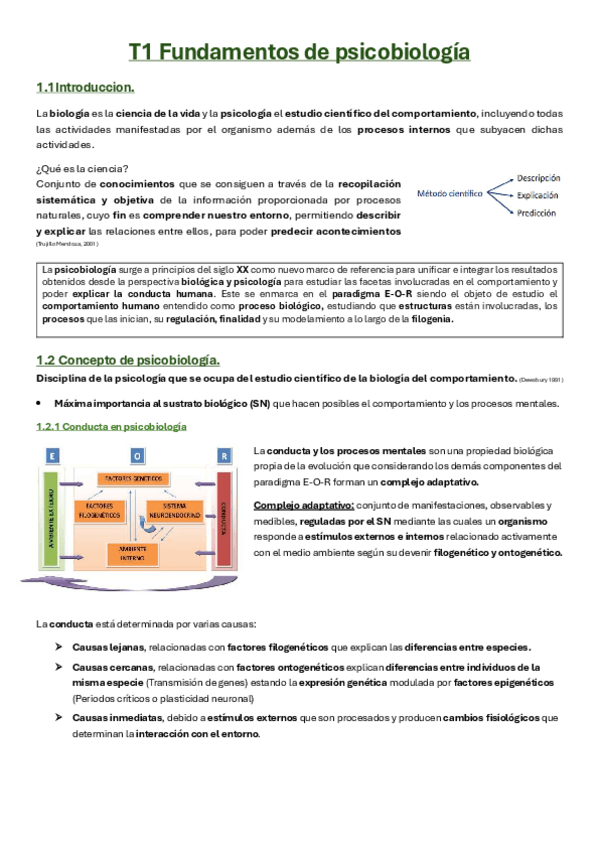 Miniatura del documento T1-PSICOBIO.pdf