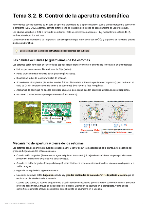 Miniatura del documento Tema-3.2.B.-Control-de-la-apertura-estomatica.pdf