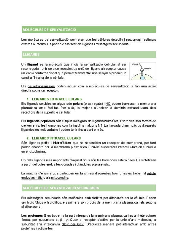Miniatura del documento T4-MOLECULES-DE-SENYALITZACIO.pdf