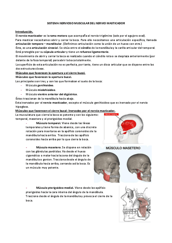 Miniatura del documento 9.-SISTEMA-NERVIOSO-MUSCULAR-DEL-NERVIO-MASTICADOR.pdf