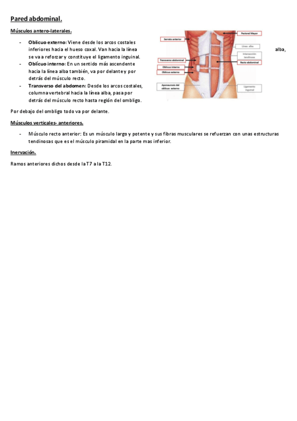 Miniatura del documento 11.-PARED-ABDOMINAL.pdf