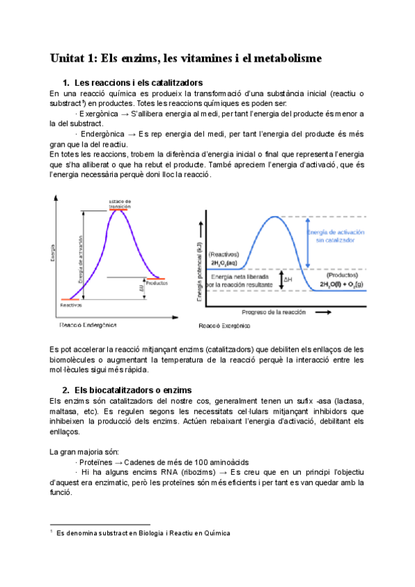 Miniatura del documento Apunts-Biologia-2n-Batxillerat.pdf