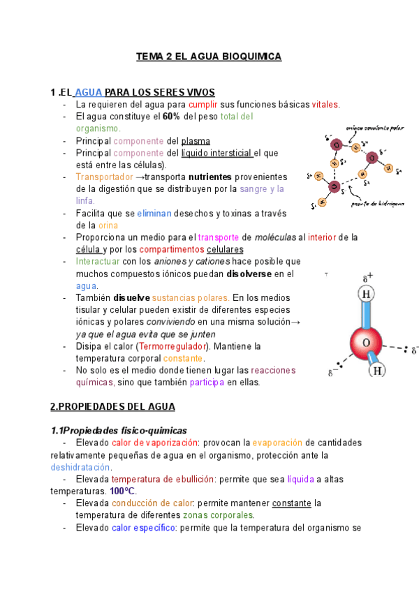 Miniatura del documento BIOQUIMICA-TEMA-2-EL-AGUA.pdf