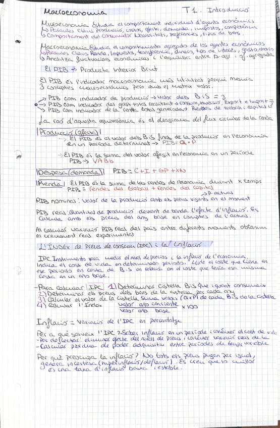 Miniatura del documento Macro-Tema-1.pdf