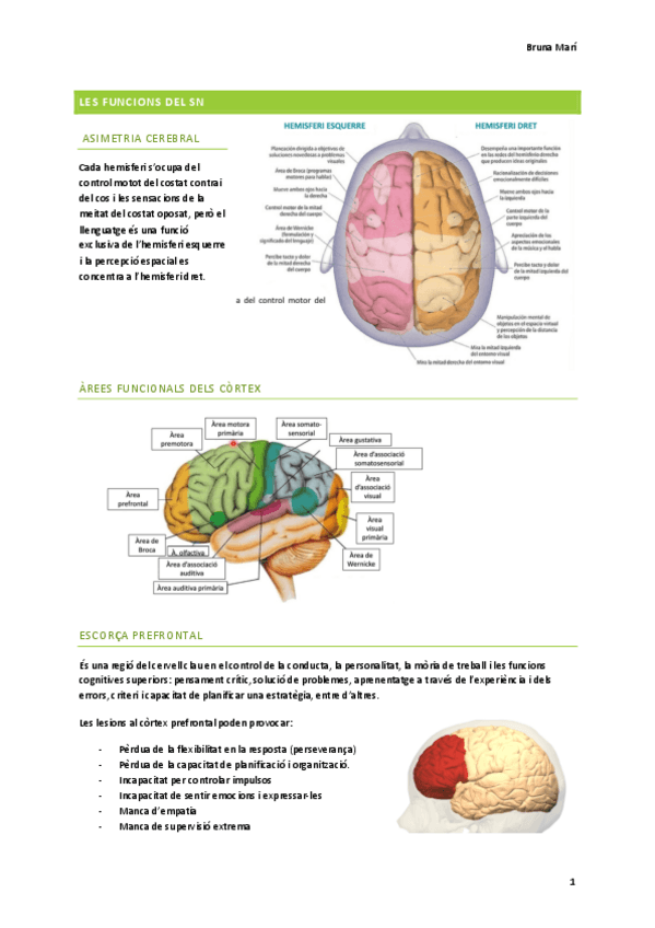 Miniatura del documento tema-4-funcions-SN 2n batx.pdf