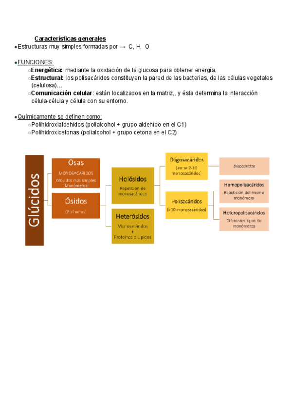 Miniatura del documento Hidrato-de-carbono-bioquimica-T3.pdf