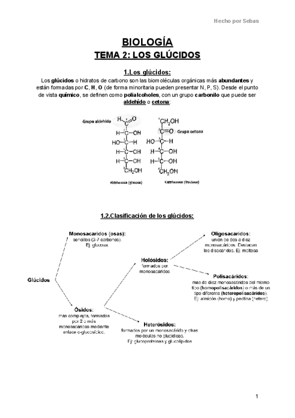 Miniatura del documento Biologia-Tema-2-Los-Glucidos.pdf