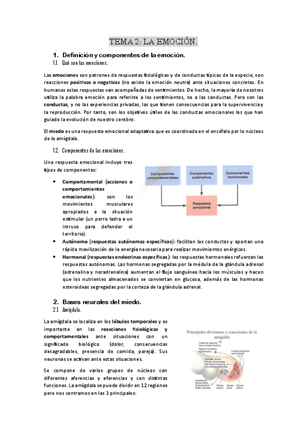 Miniatura del documento TEMA-2-parte-1.pdf