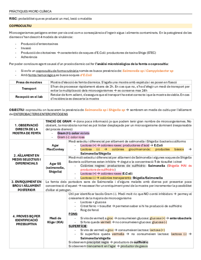 Miniatura del documento resum-practiques.pdf