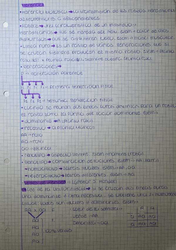 Miniatura del documento herencia.pdf
