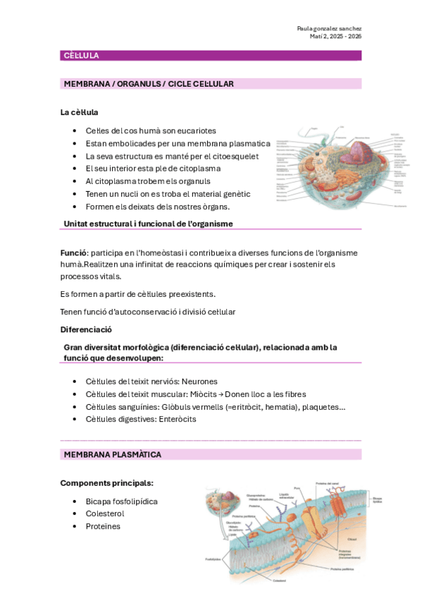 Miniatura del documento Estructura-i-funcio-tema.-Cellula.pdf