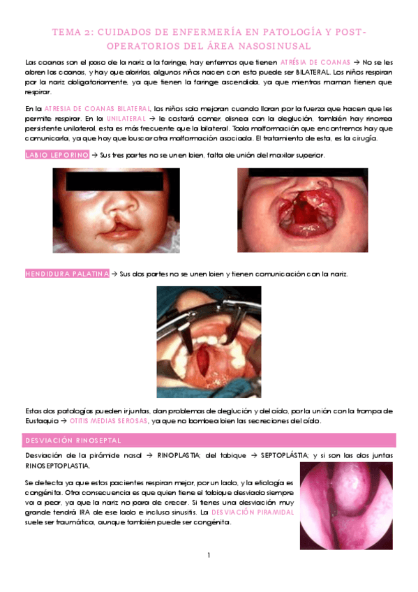 Miniatura del documento CUIDADOS-DE-ENFERMERIA-EN-PATOLOGIA-Y-POST-OPERATORIOS-DEL-AREA-NASOSINUSAL.pdf