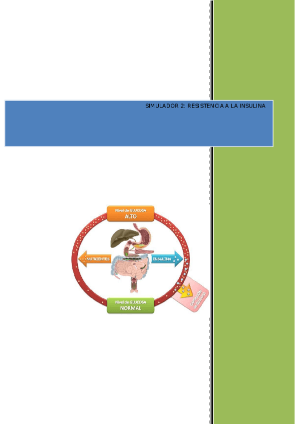 Miniatura del documento Por-que-se-produce-la-resistencia-a-la-insulina.docx