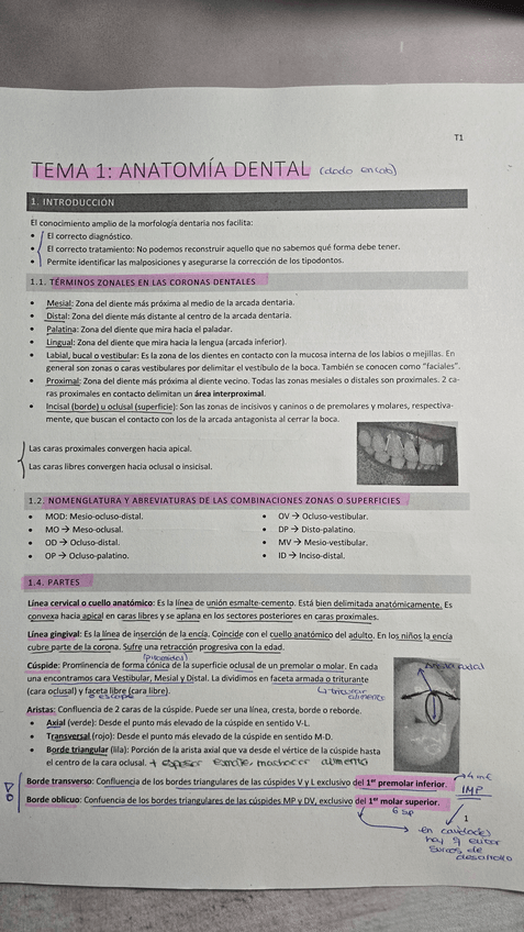 Miniatura del documento PTD-I-TEMA-1.pdf
