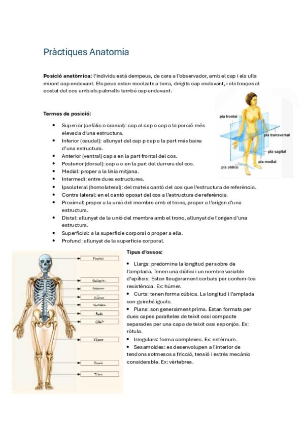Miniatura del documento practiques-anato-parcial.pdf