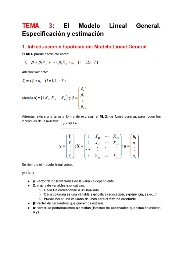 Miniatura del documento TEMA-3-Econometria.pdf