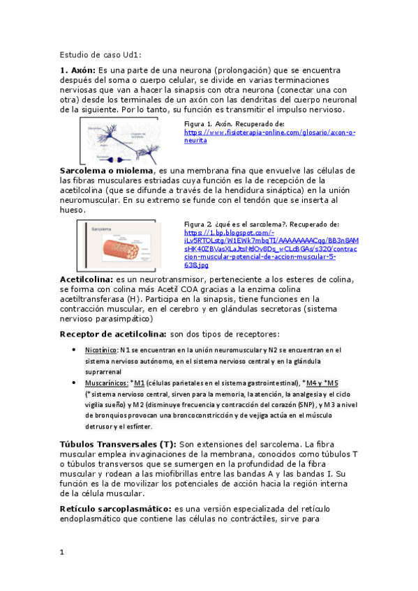 Miniatura del documento JonaiDiazUD1.Fisiologia.pdf