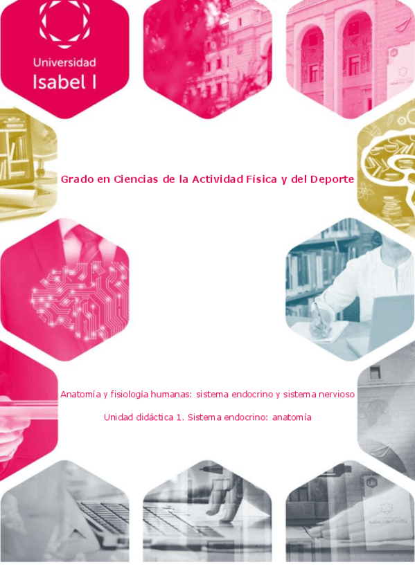Miniatura del documento ud1anatomiaendocrinonervioso.pdf
