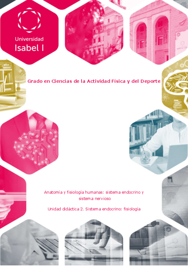 Miniatura del documento ud2anatomiaendocrinonervioso.pdf