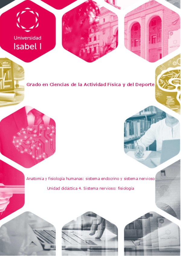 Miniatura del documento ud4anatomiaendocrinonervioso.pdf