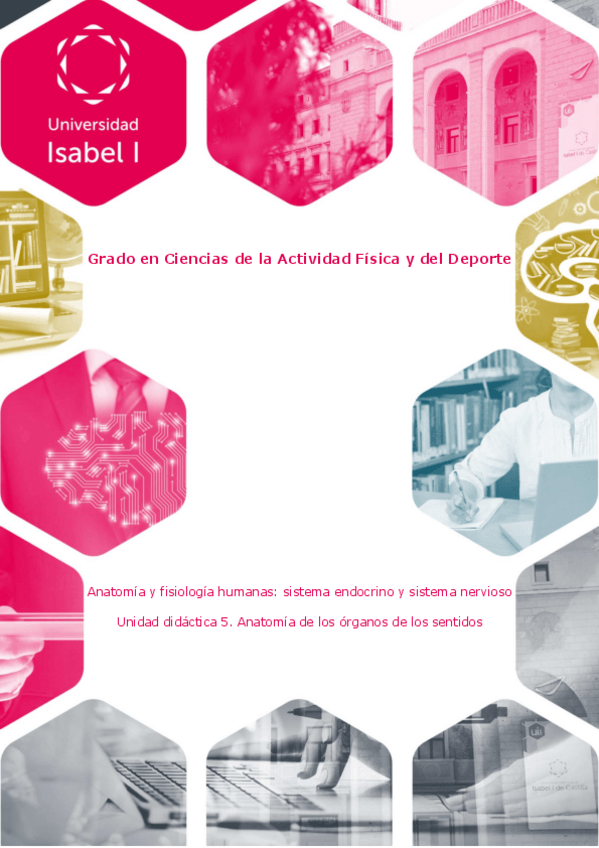 Miniatura del documento ud5anatomiaendocrinonervioso.pdf