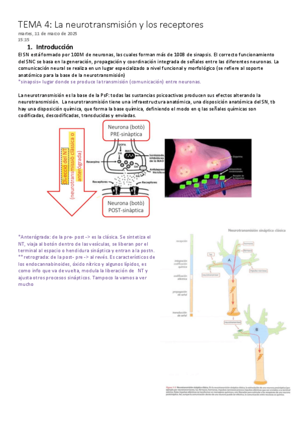 Miniatura del documento APUNTEST4psicoFarma.pdf