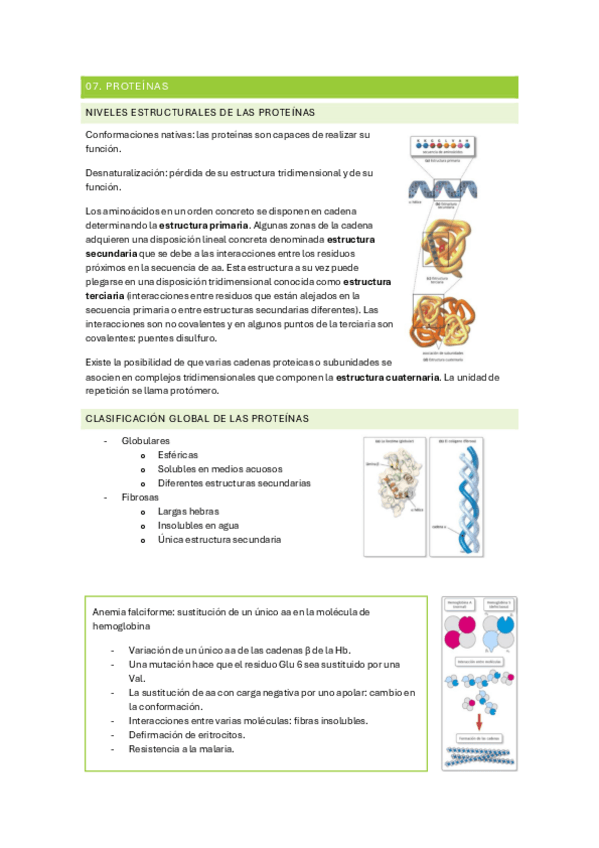 Miniatura del documento 07.-Proteinas.pdf