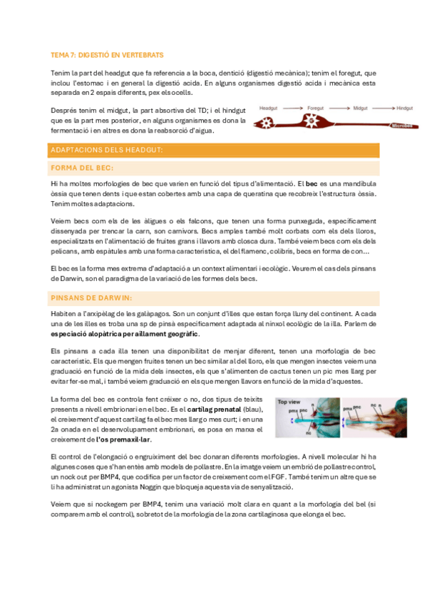 Miniatura del documento FACA-T7.pdf