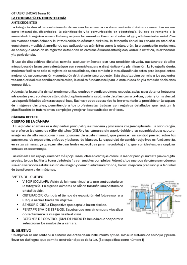 Miniatura del documento OTRAS-CIENCIAS-Tema-10.pdf