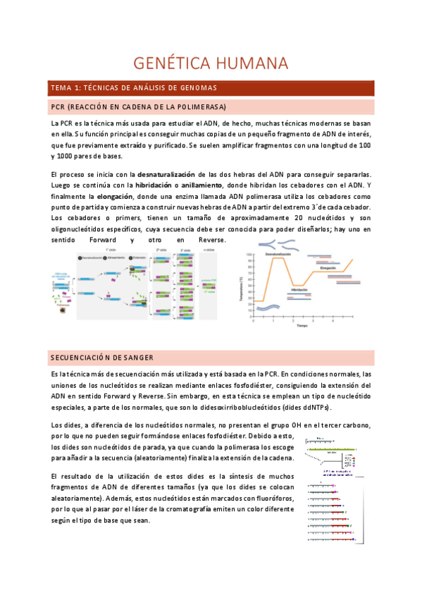 Miniatura del documento Apuntes-genetica-humana-Primer-parcial.pdf