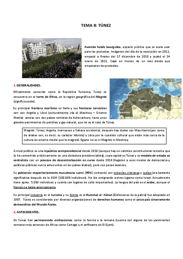 Miniatura del documento TEMA-8.-TUNEZ.pdf
