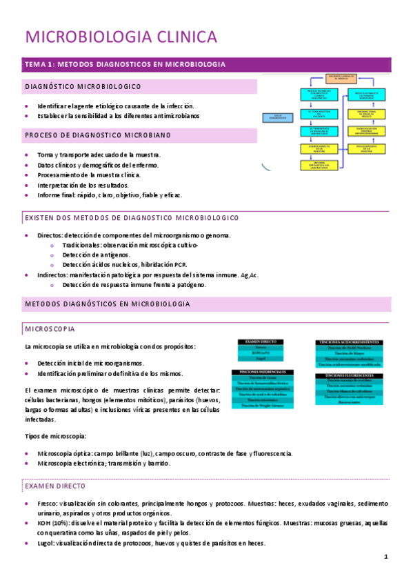 Miniatura del documento MICRO-INTRODUCCION-TEMA-1-4.pdf