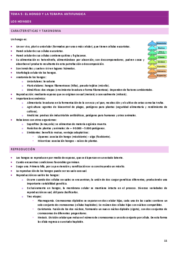 Miniatura del documento MICROBIOLOGIA-hongos-tema-5.pdf
