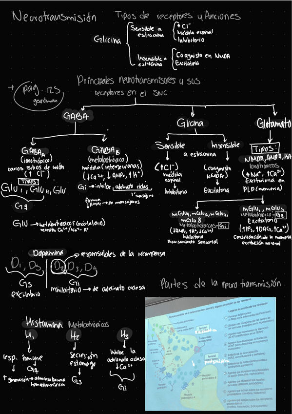 Miniatura del documento Notas-farma-II.-Neurotransmision.pdf